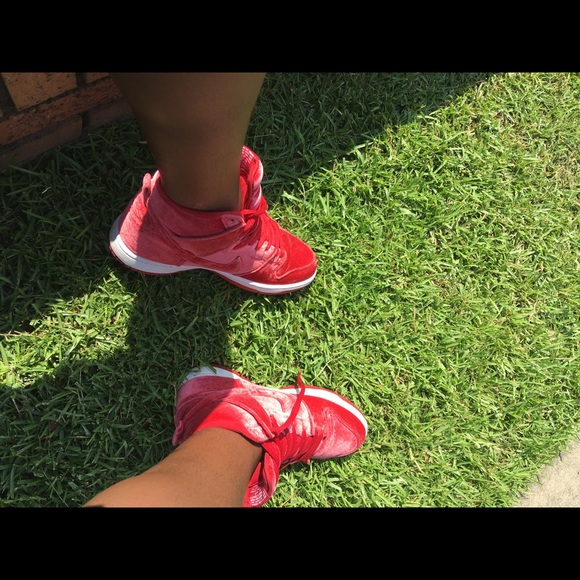 Meet your Posher, Nikki - Picture 1 of 1